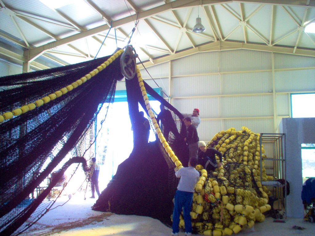 Purse Seine